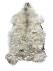 Peaux de mouton anglaises de couleur blanc cassé